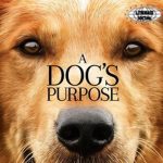 A Dog's Purpose Kisah Setia yang Menggetarkan Hati dan Jiwa