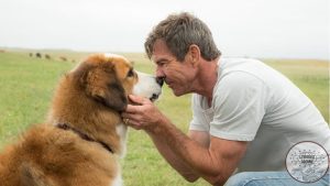 A Dog's Purpose Kisah Setia yang Menggetarkan Hati dan Jiwa