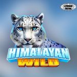 Himalayan Wild Kini Bisa Diakses via Link Login RUBY8000!
