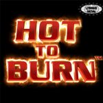 5 Link Alternatif Cnnslot Grafis Retro Hot to Burn Akui Membara!