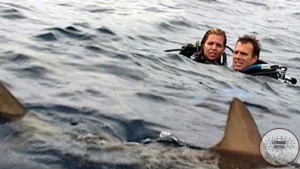 Open Water Perjuangan 5 Hidup di Laut Lepas