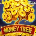 Money Tree Kok Bisa Viral Hidup Di 5 Sosmed Indo
