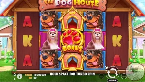 The Dog House Menderita Bankroll Buat Main 100x!