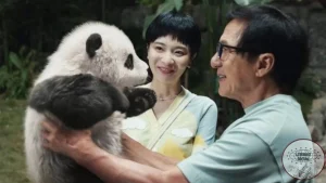 Panda Plan: Lebih Penuh Sekadar 3 Film Kartun