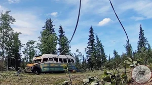 Film Into the Wild, 24 Kisah Nyata Paling Epik Pol!