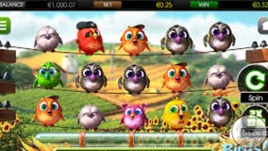 Bountiful Birds Suara 3 Step-nya Kedengeran Aktif