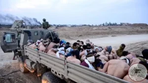 UNICEF Kecam Israel Baru Tewasnya 2 Sopir Truk